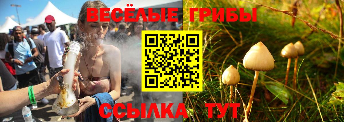 Краснокамск  Псилоцибиновые грибы Cubensis  Галлюциногенные грибы ЛСД  Вход с VPN 